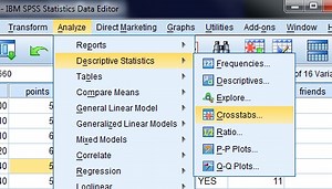 SPSS Tutorial (for Beginners): Intro to SPSS