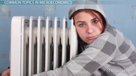 Microeconomics | Definition, Topics & Examples