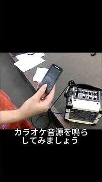 【二胡用クリップマイク】 カラオケ音源を鳴らしてみよう！/ ERIU-02CM