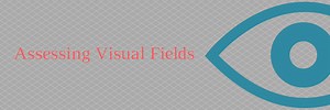 Assessing visual fields — Vision Rehab OT