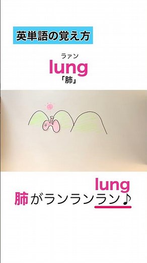 【英単語暗記】lung（肺）の覚え方 #short