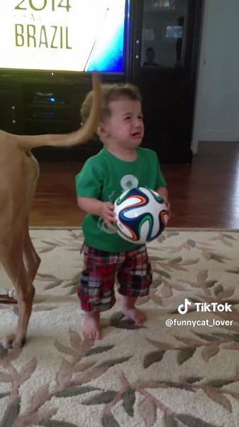 Funny Baby and Dog Moments to Brighten Your Day