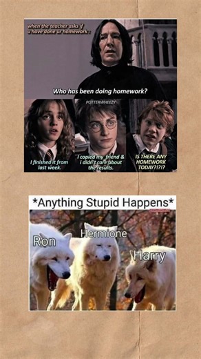 When the Teacher Asks About Homework 😂 | Harry Potter Meme Compilation #harrypotter #hogwarts #menes