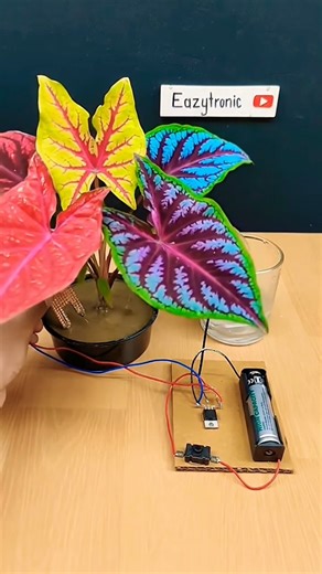 Magically Growing Plant! 🌱 DIY Automatic Irrigation System Without Arduino | Science Project #ai