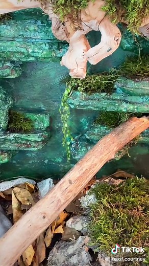 Exploring Our Bioactive Ball Python Enclosure