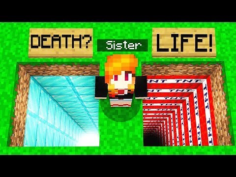 TROLLING MY SISTER IN MINECRAFT!