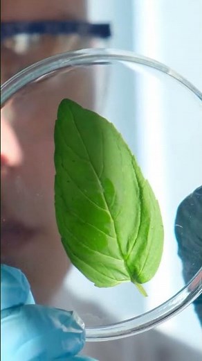 What Is Genetic Engineering?