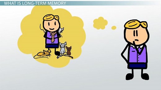 Long-Term Memory | Overview, Examples & Types