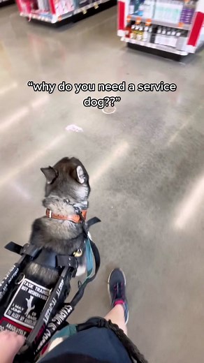 Kylie, Lucy, Hugo, & Asher on TikTok