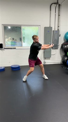 Cable Transverse Chop