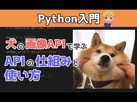 【Python入門】初心者でもわかるAPIの使い方。犬の画像APIを使います。Pythonでできること「画像のダウンロード」。APIの仕組みを理解すればWebアプリを作るのに役立ちます。【API入門】