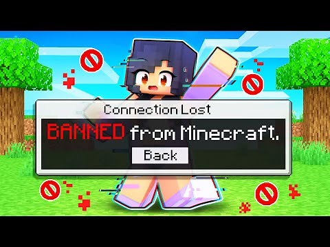 Aphmau Was BANNED From Minecraft!