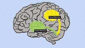 Dynamic Learning: Dual Coding