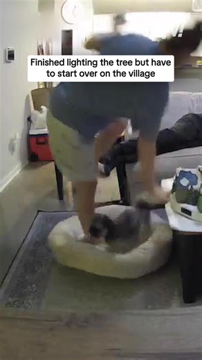 It'll take a village to put that back together 🏘️ #afv #fail #funny