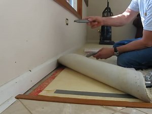 15 Different Types of Carpet Fiber and Pile Options
