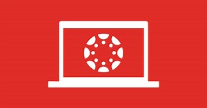 Canvas Online Learning System