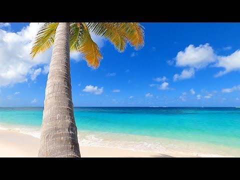 The Most Relaxing Beach Scenery Ever - with Ocean Sounds for Meditation, Studying & Sleep