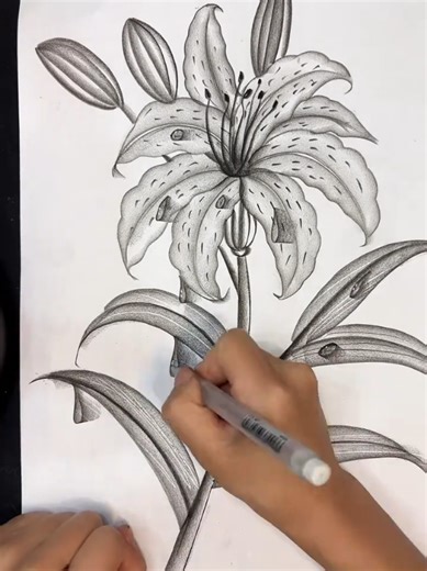 How to Draw with a Pencil: Step-by-Step Guide