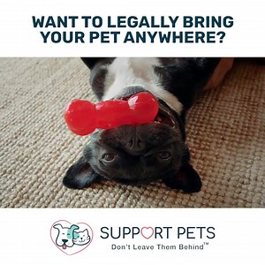 21 reactions | As a doggy parent, take a stand and protect your right to keep your dog by your side. Get your ESA approval while doctors are still available. Qualify in 3 easy steps and get doctor’s approval in 48 hours (or less). | Support Pets | Facebook