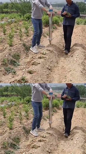 Weiwei seeder machine