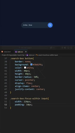 Expandable Search Box CSS