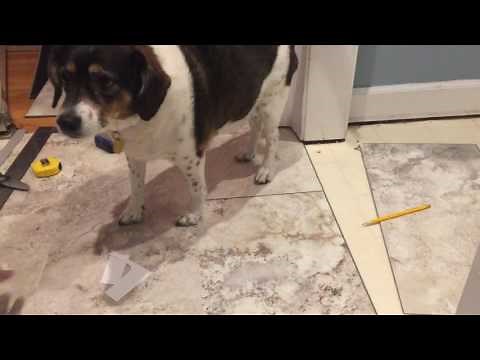 Install Luxury Vinyl Tile