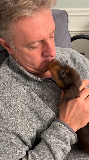 47K views · 6K reactions | Lovefest between daddy and Matilda EVERY SINGLE NIGHT!殺藍 | Cleft Rescue Unit | Facebook