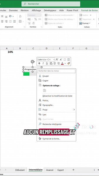 On va voir si t’es vraiment bon sur Excel. Je vais te montrer 3 façons de faire une barre de progression, niveau débutant, intermédiaire et avancé. Et tu vas me dire honnêtement à quel niveau tu t’arrêtes. On passe au niveau intermédiaire, comme dans la vidéo précédente j’ai toujours un pourcentage dynamique en haut à gauche et une cellule où j’ai fait égal à 1 pour avoir dans une autre cellule ce pourcentage dynamique. Et dans la cellule juste en dessous je fais 1 moins celle du dessus pour que