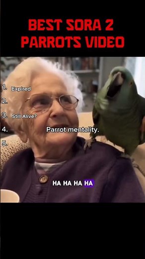 Ranking the Funniest Parrots 🦜 | Try Not to Laugh Challenge!