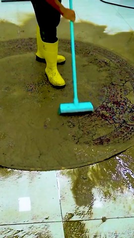 Pro Cleaning Transforms Dirty Wool Carpet to Perfection