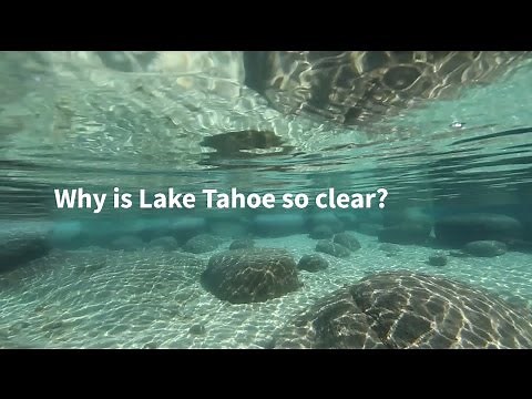 Why is Lake Tahoe so clear?