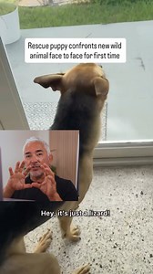 52K views · 788 reactions | The first meeting is where everything...