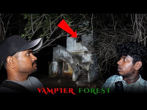 Vampire Forest (Warning !)