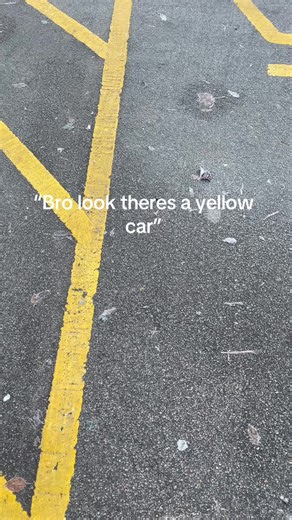 Exploring the Yellow Car Game and Its Meaning