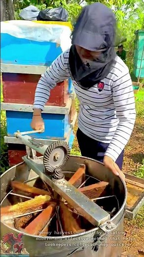 Super Fast Honey Extractor #tools #shorts #viral #creative