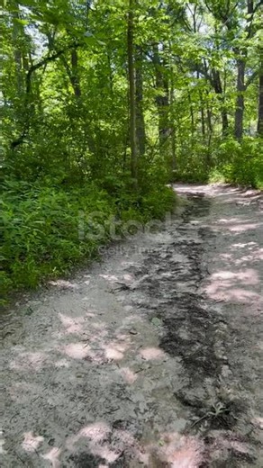 istockphoto 2158642853 640 adpp is