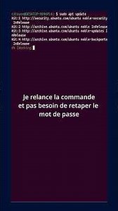 sudo : exécute des commandes en administrateur sous Linux | Une commande linux par jour