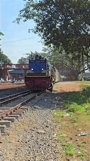 The train is going to his destination #train #railway