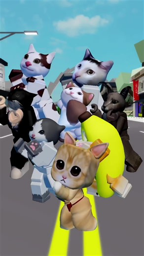 Roblox Cats Avatar Showcase
