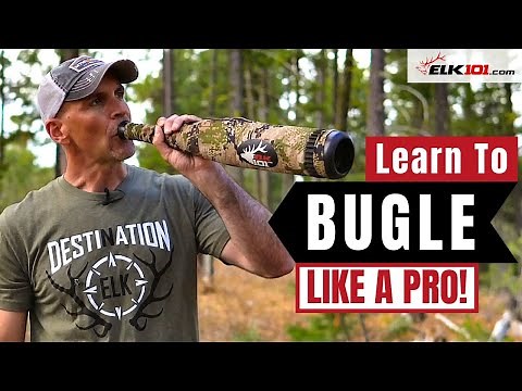 Learn to Bugle with Diaphragm Elk Calls