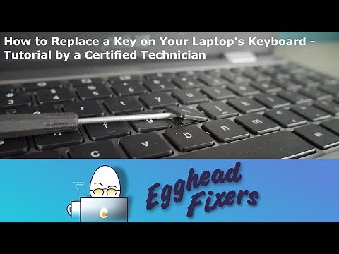 How to Replace a Key on Your Laptop's Keyboard - Tutorial by a Certified Technician