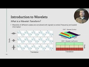 Image Denoising Using Wavelet Transform Techniques