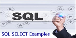 SQL Server SELECT Examples