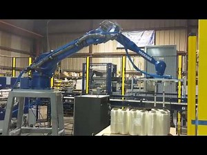 DPPS-CPS Robotic Palletizing System