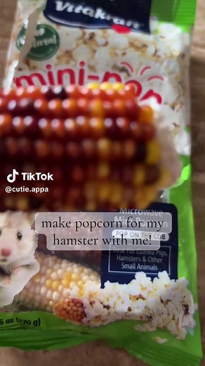 Making Safe Mini Meals for Your Hamster
