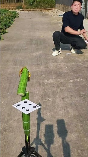 Skill of throwing knives #dangerous action, please don't imitate #throwing knives