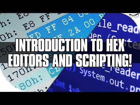 Introduction to Hex Editors and Scripting