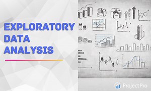 Exploratory Data Analysis Process and Techniques in Python