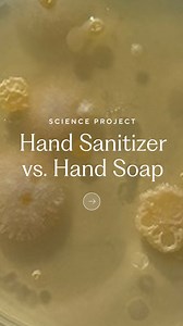 367K views · 10K reactions | We couldn’t love this more!  This...