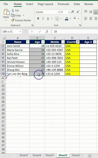How to Copy and Paste Filtered Values in Excel